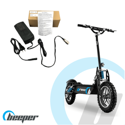 Cargador de 48V -...