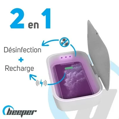 Mobile disinfection box