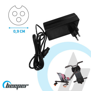 Cargador para triciclo de deriva 200W - RDT200-SP12