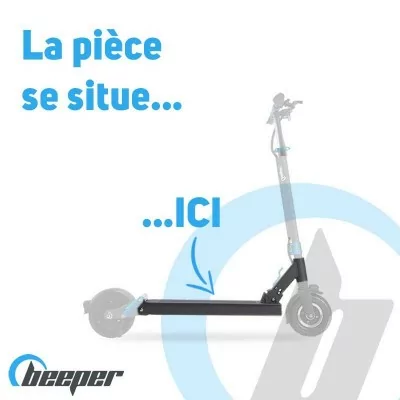Electric Scooter FX8 •...