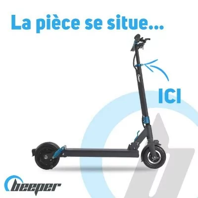 Electric Scooter FX8 •...