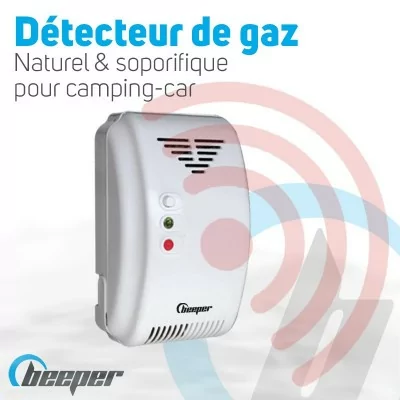 Détecteur de gaz naturels et soporifiques • DET-GN101