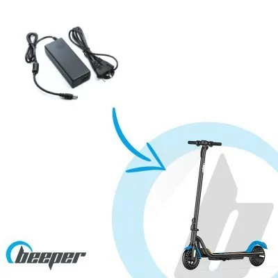 Electric scooter charger...