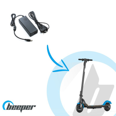 Electric scooter charger...