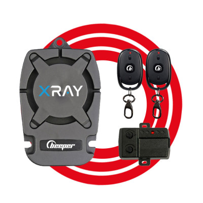 DIY universal car alarm...