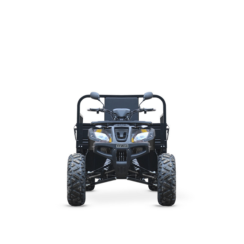 The CARGO 4 • Quad électrique Adulte Terrain Privé • 2 roues motrices • Batterie Plomb-Acide • 5000 W max • 72 V • 52Ah