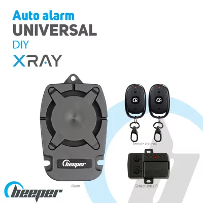 DIY universal car alarm...