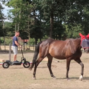 Saviez-vous que la Beeper CROSS est populaire chez les cavaliers ?