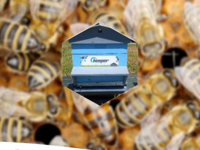 Le butineur : l'info des abeilles Beeper (avril 2022)