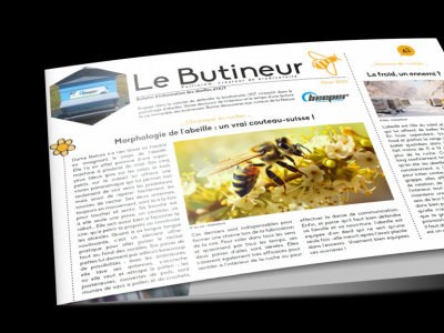 Le butineur, toutes les infos sur la ruche Beeper - Hiver 2023