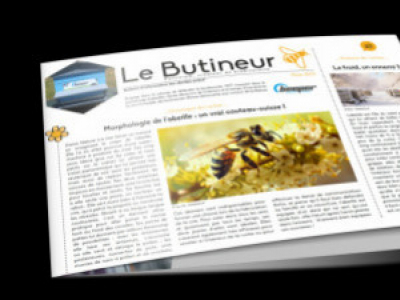 Le butineur, toutes les infos sur la ruche Beeper - Printemps 2024