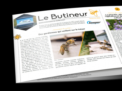 Le butineur, toutes les infos sur la ruche Beeper - Été 2024